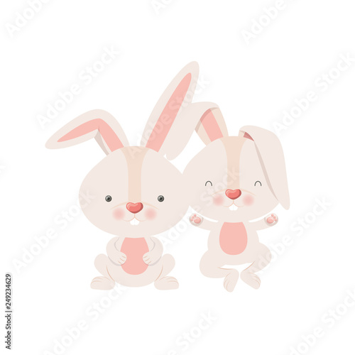 cute rabbits isolated icon © grgroup