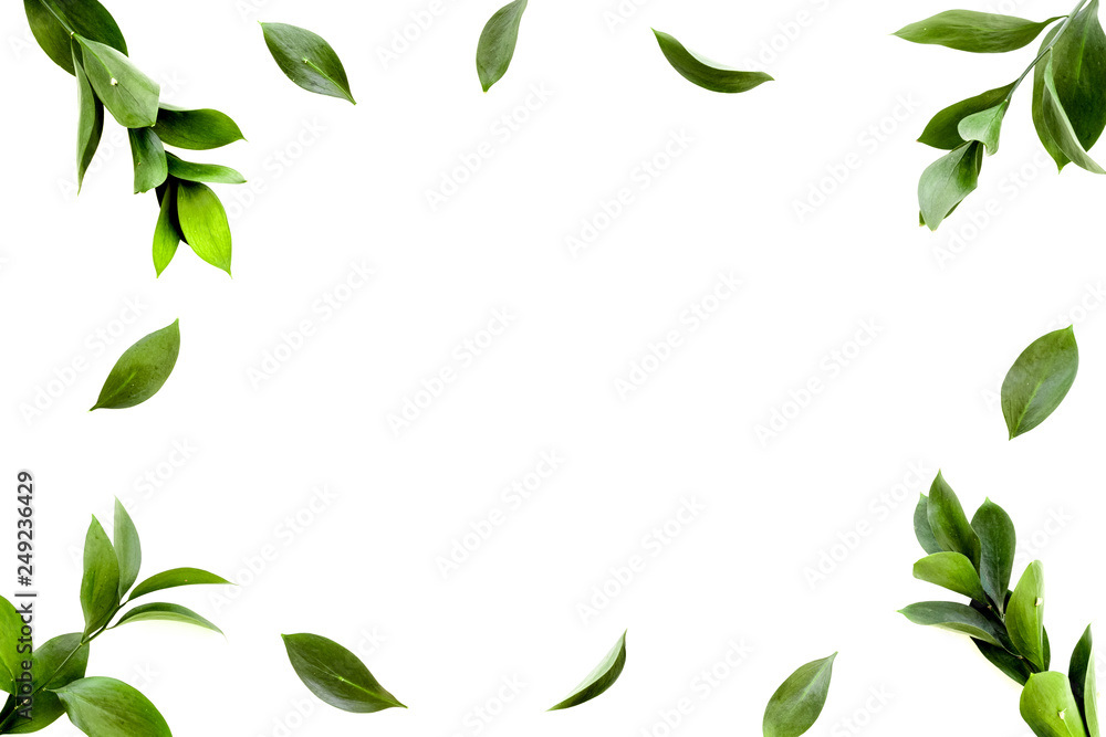 Spring background. Fresh green leaves frame on white background top view space for text - obrazy, fototapety, plakaty 