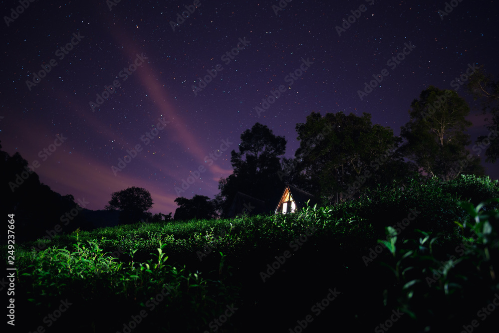 Green tea plantation under the star sky with wooden cottage.