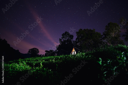 Green tea plantation under the star sky with wooden cottage. © grooveriderz