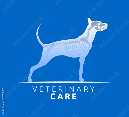Veterinary Care Emblem Design, Bone Scan Dog Care vector illustration