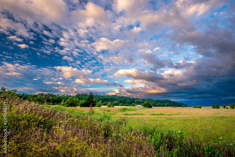 Landscape of summer field with high green grass and fabulous fancy clouds in Columbia Gorge National Reserve Landscape of summer field with high green grass and fabulous fancy clouds in Columbia Gorge National Reserve