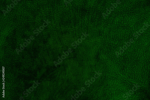 Wallpaper Mural Dark green leather texture.  Torontodigital.ca