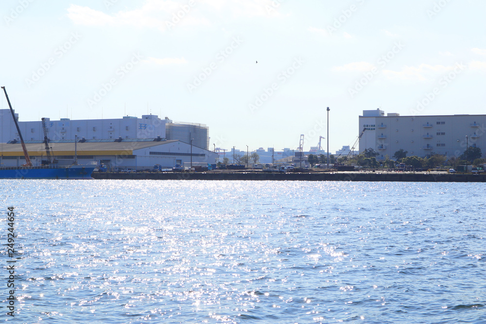 Fototapeta premium Viewing Tokyo Bay