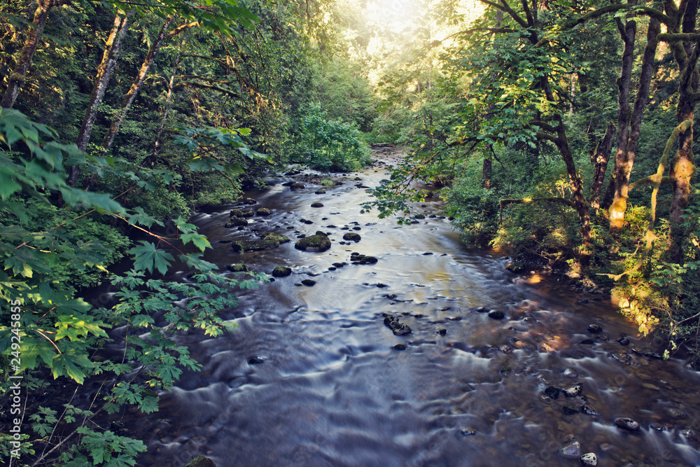 Nature Scene with Idyllic River