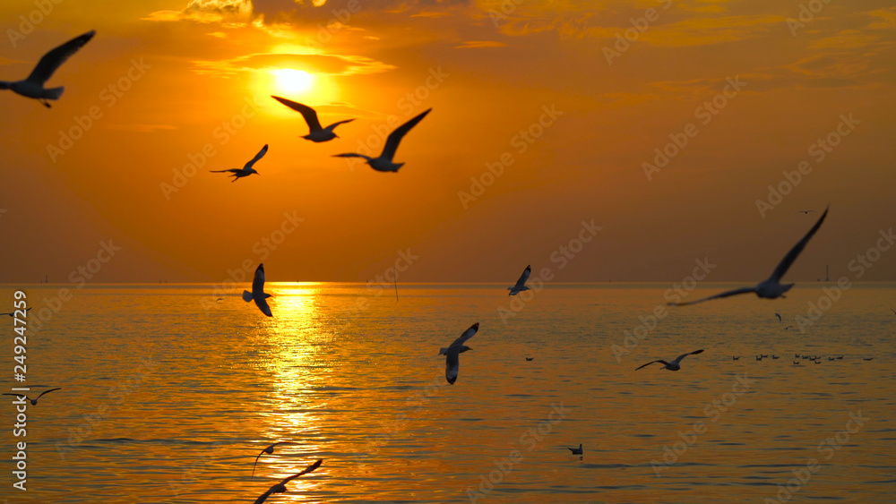 Many seagulls fly in the sky above the sea during the sunset.