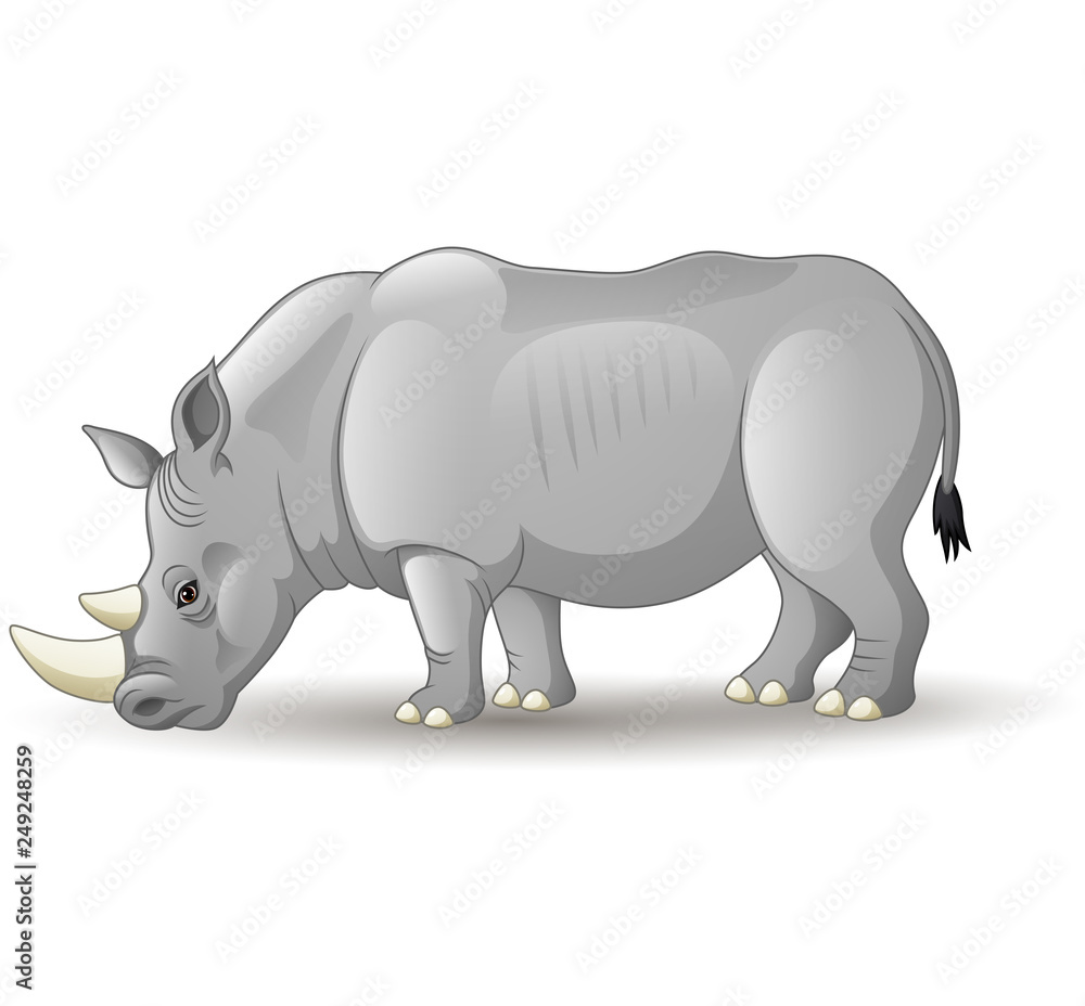 Cartoon African rhinoceros isolated on white background Cartoon African rhinoceros isolated on white background
