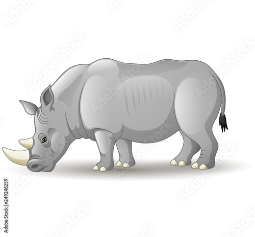 Cartoon African rhinoceros isolated on white background