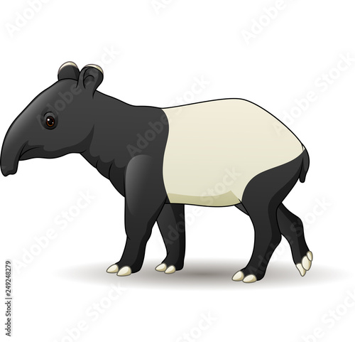 Cartoon Asian tapir isolated on white background