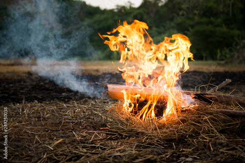 Camping fire on the ground using bamboo and straw as fuel.