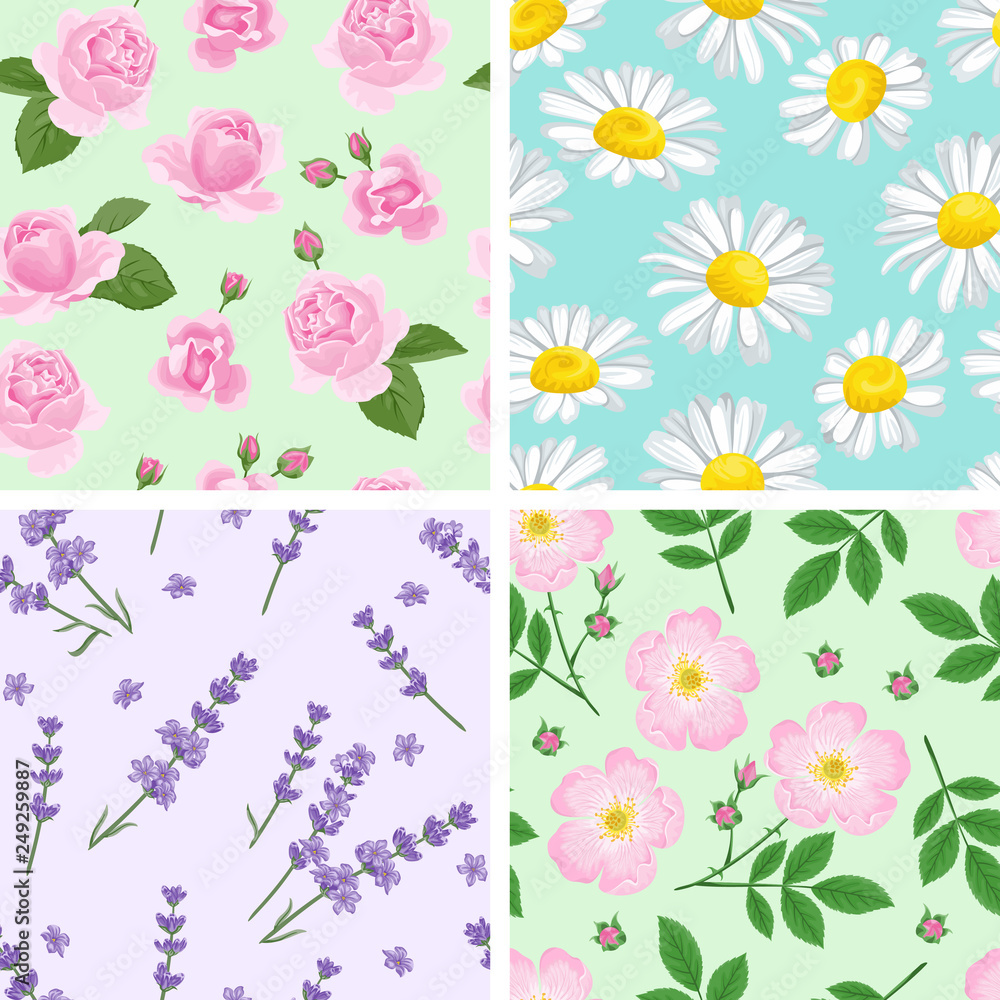 Set of seamless floral patterns. Chamomile, rose, lavender, wild rose flowers. Vector illustration of fragrant flowers and green leaves in a simple cartoon flat style.