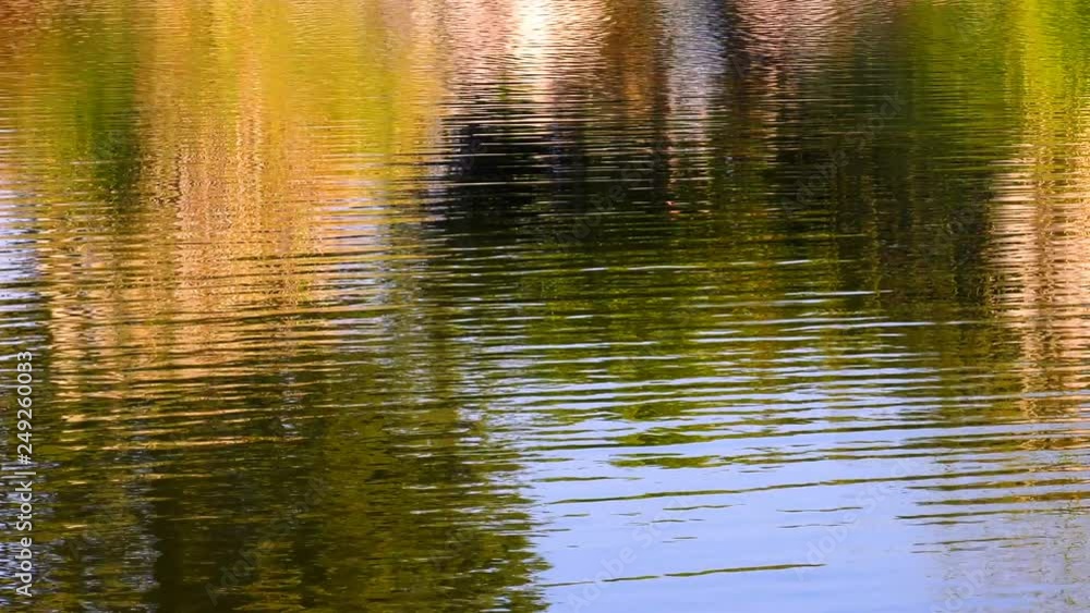 Beautiful Green Lake Water Background Beautiful Green Lake Water Background