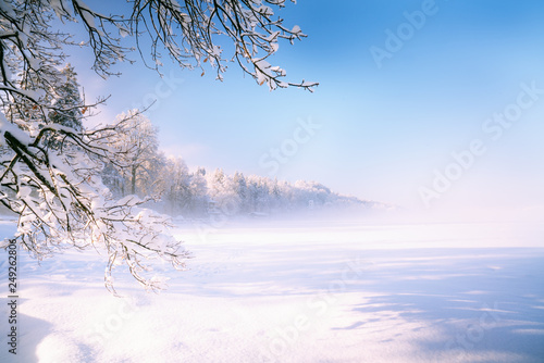 Winter  Scape Lakes of Bavaria Murnau 