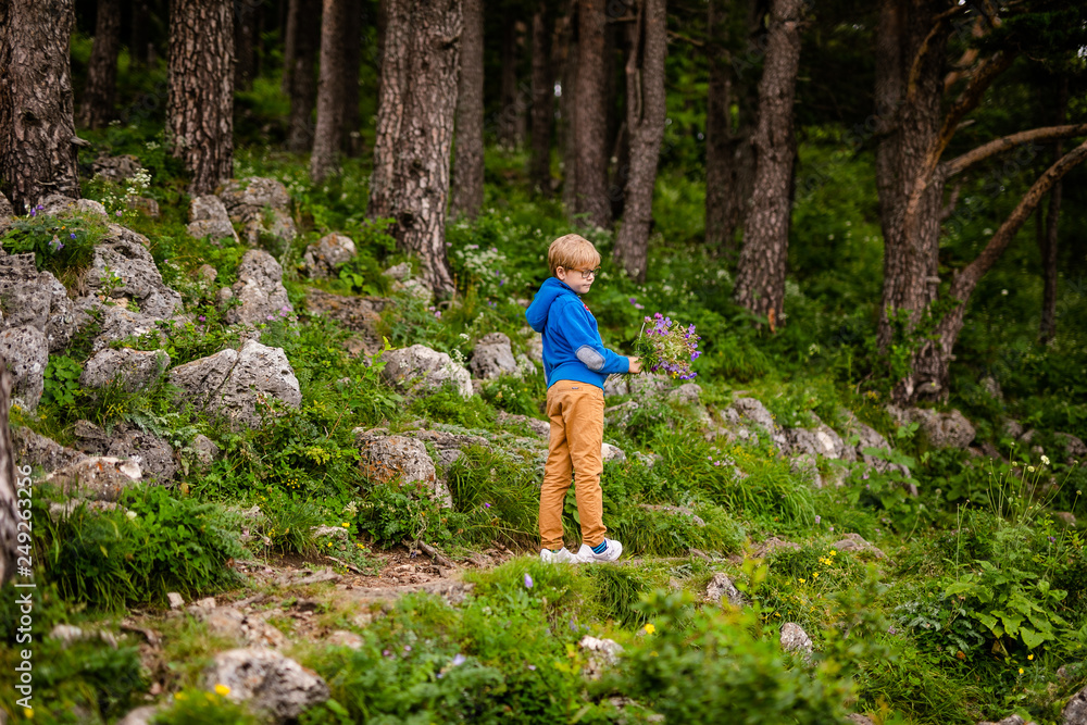 Boy with glasses and blue wear with bouquet of wild flowers in the summer mountains. Flowers for mother and sister for the woman’s day. Boy with glasses and blue wear with bouquet of wild flowers in the summer mountains. Flowers for mother and sister for the woman’s day.