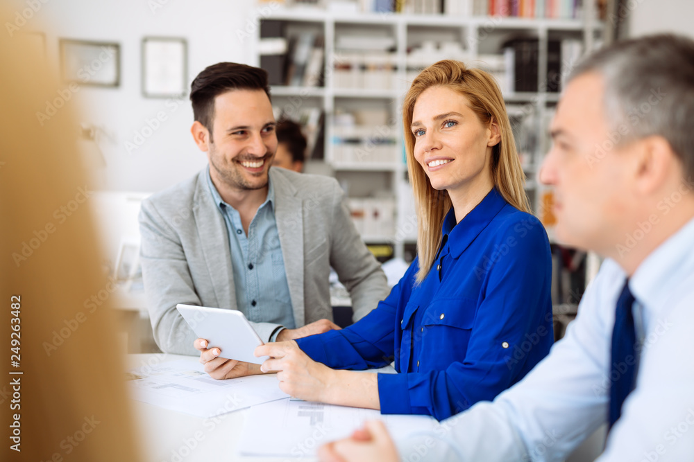 Fototapeta premium Business people working