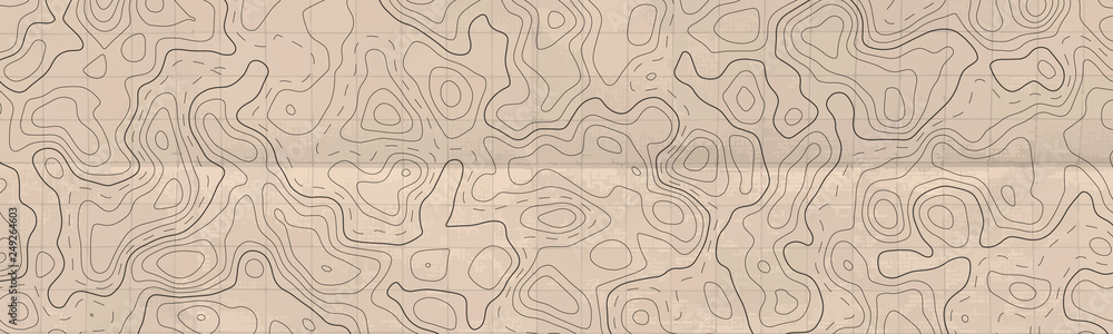 Abstract horizontal long banner with topographic line map and paper effect. Vector geographic contour grid. Abstract horizontal long banner with topographic line map and paper effect. Vector geographic contour grid.