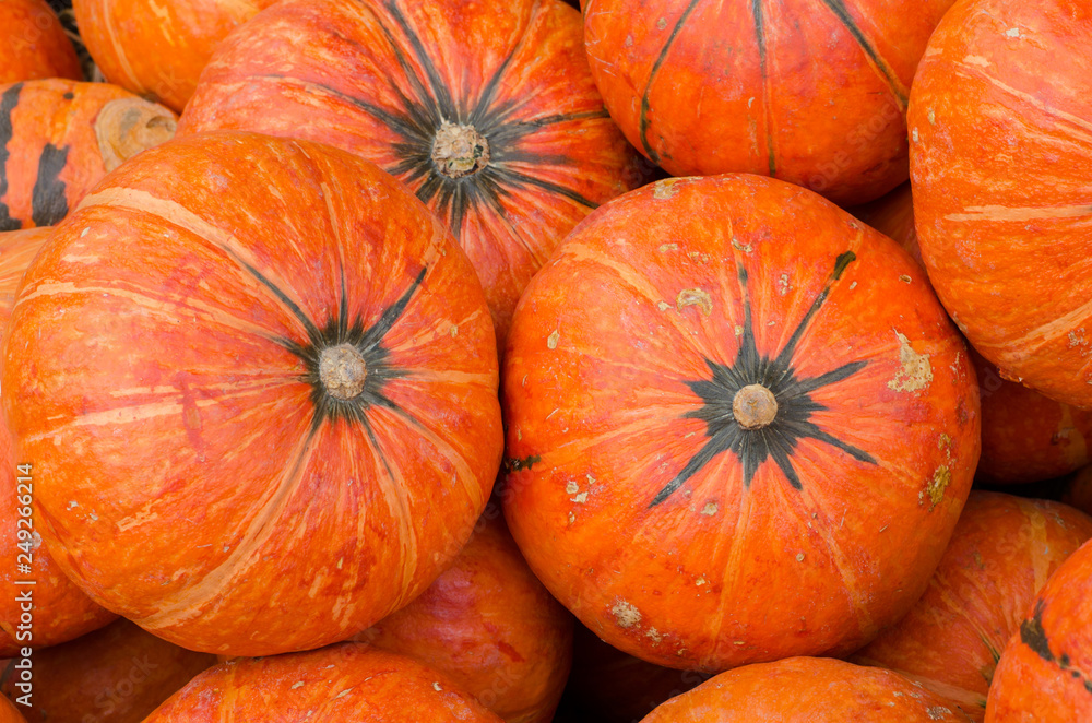 Orange pumpkins as background Orange pumpkins as background
