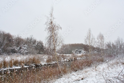Wallpaper Mural Snowy landscape in Danubian floodplain, Slovakia, Europe Torontodigital.ca