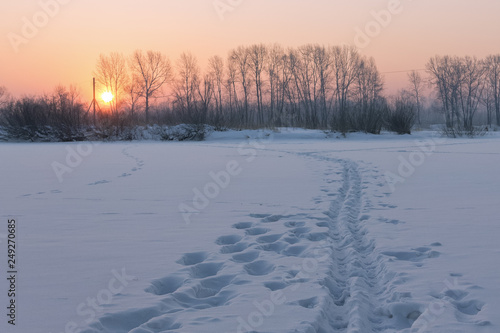 Footsteps in the snow lead to the rising sun of the sun.