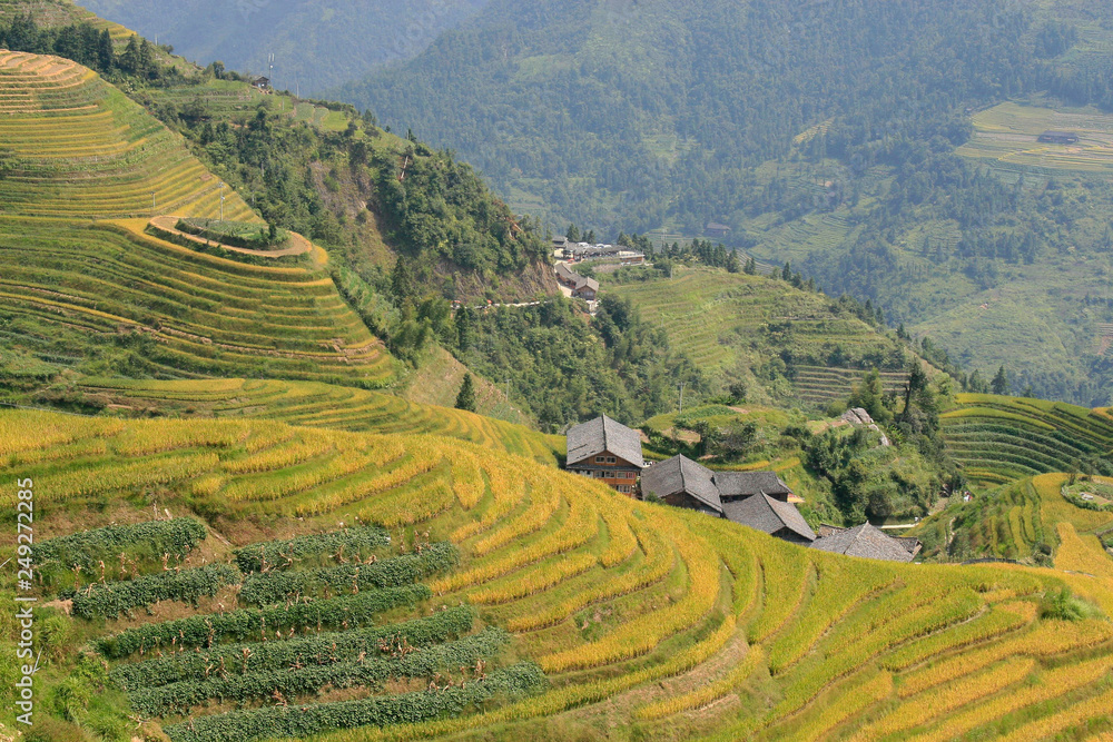 The Longsheng Rice Terraces Dragon's Backbone also known as Longji Rice Terraces. a The Longsheng Rice Terraces Dragon's Backbone also known as Longji Rice Terraces. a