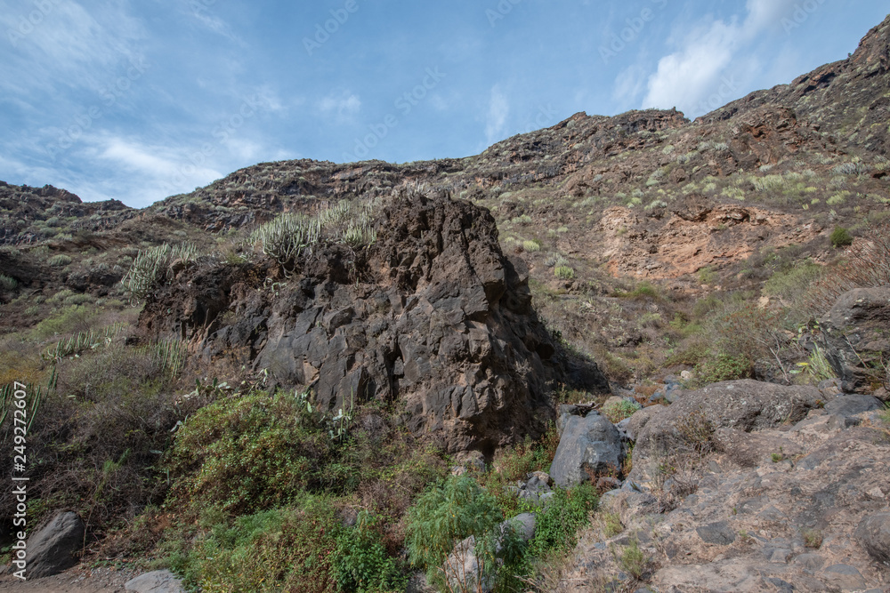 barranco del infierno tenerife canarias barranco del infierno tenerife canarias