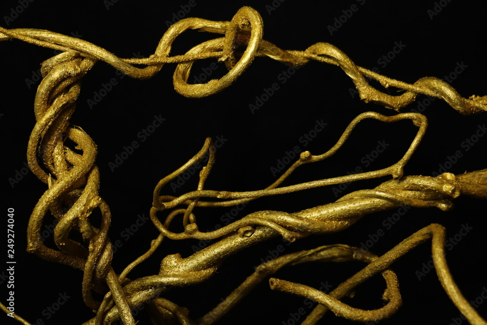 Obraz premium 金色の蔦 golden ivy 1