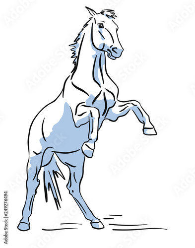 Vector silhouette of the horse standing on hind legs.