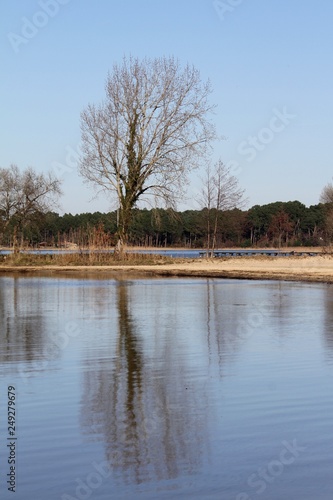 le lac de Cazaux sur la côte atlantique photo