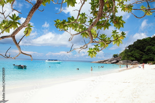 Fototapeta Naklejka Na Ścianę i Meble -  Beautiful daylight and Breathtaking tropical beach at Similan Island, Wonderful tropical beach for relaxation and travel, Special white sandy at the exotic beach