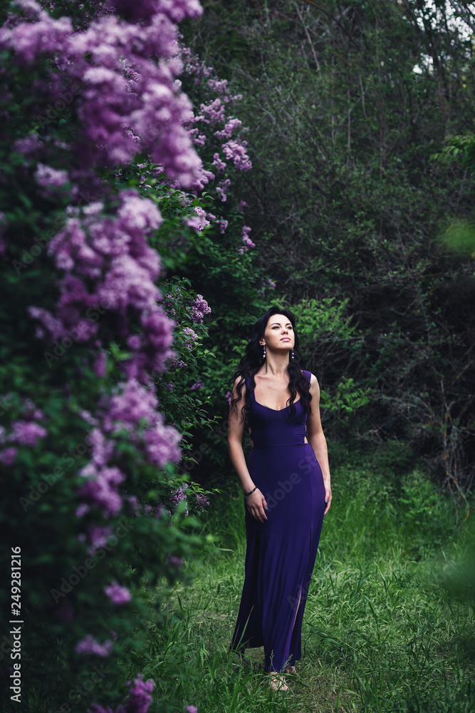 attractive woman in purple dress posing near lilac flowering bushes attractive woman in purple dress posing near lilac flowering bushes