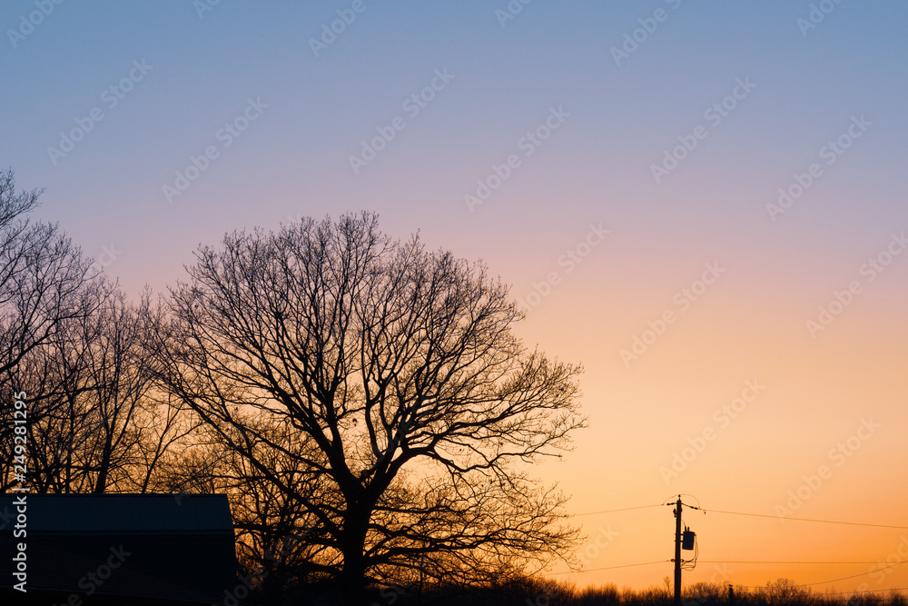 Trees and power line during a beautiful sunset in Northern Indiana Trees and power line during a beautiful sunset in Northern Indiana