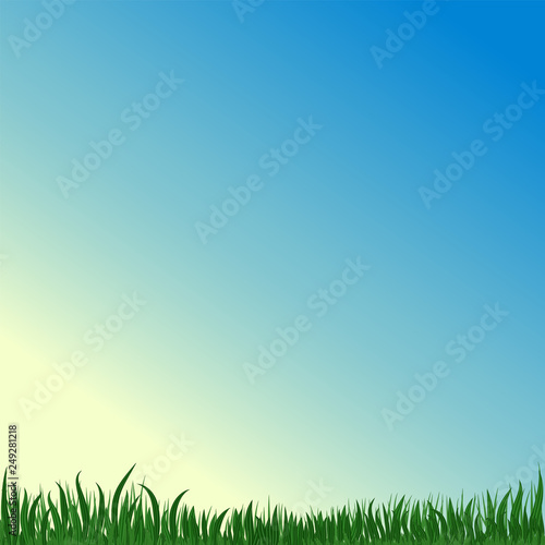 Vector image of green grass on a background of blue summer sky. Copy space. Background or texture with floral ornament.