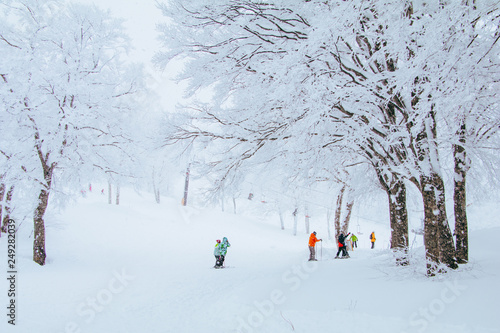 Landscape and Mountain view of Nozawa Onsen in winter , Nagano, Japan. photo