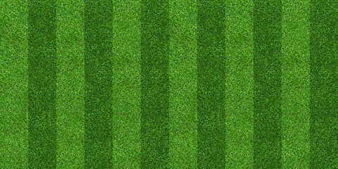 Green grass field background for soccer and football sports. Green lawn pattern and texture background. Close-up.