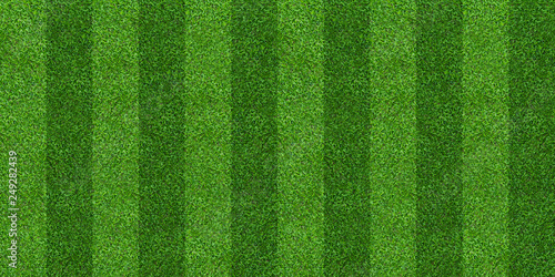 Green grass field background for soccer and football sports. Green lawn pattern and texture background. Close-up.