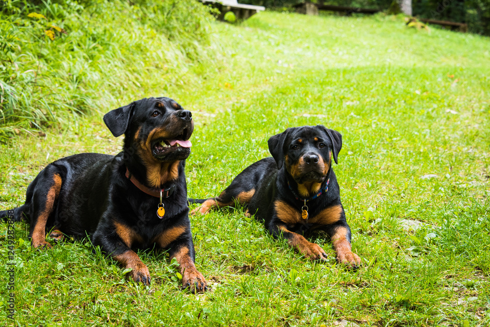 Emma und Tammy Emma und Tammy