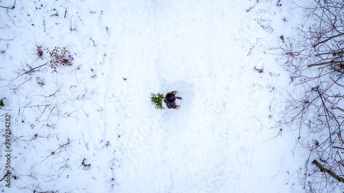 Winter wedding and snowy forest landscape view from the drones above the ground forest road covered with snow from the middle height during flight