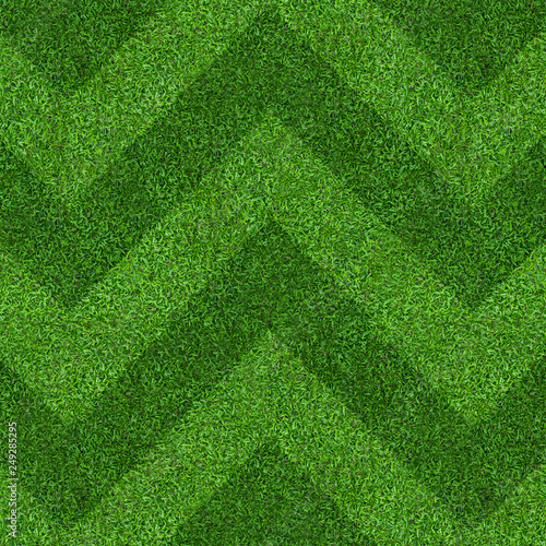 Abstract green grass field background. Green lawn pattern and texture for background.