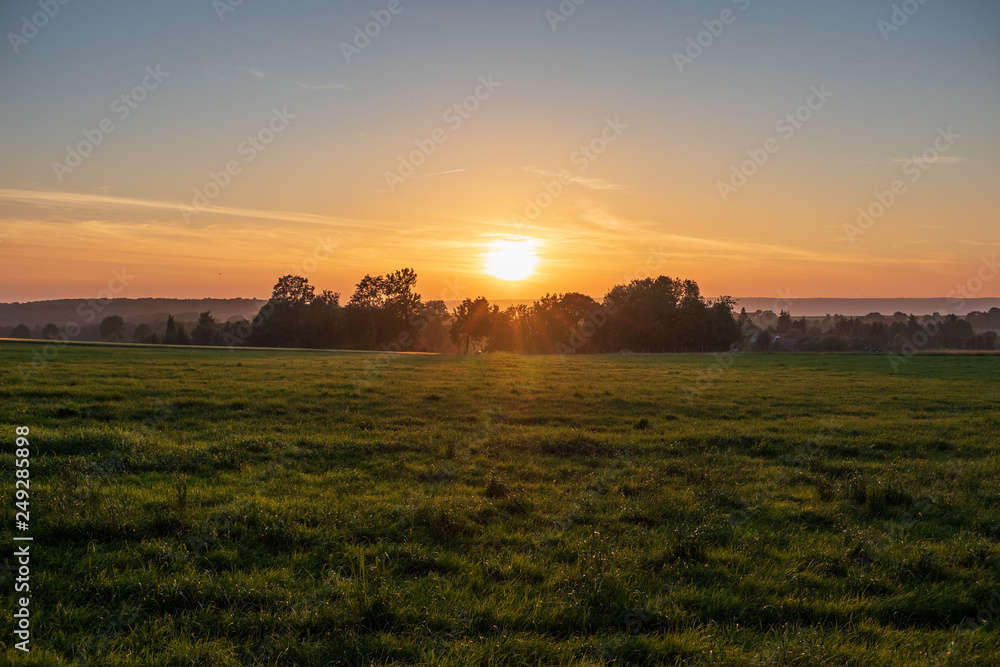 Fototapeta premium The sunset over wheat field in Germany