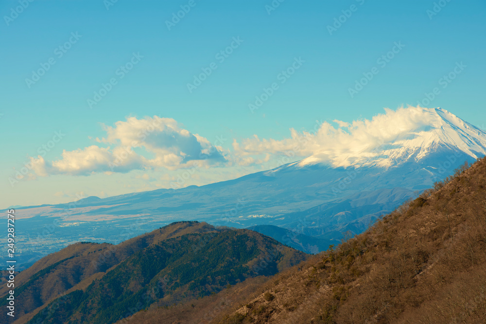 Fototapeta premium 富士山