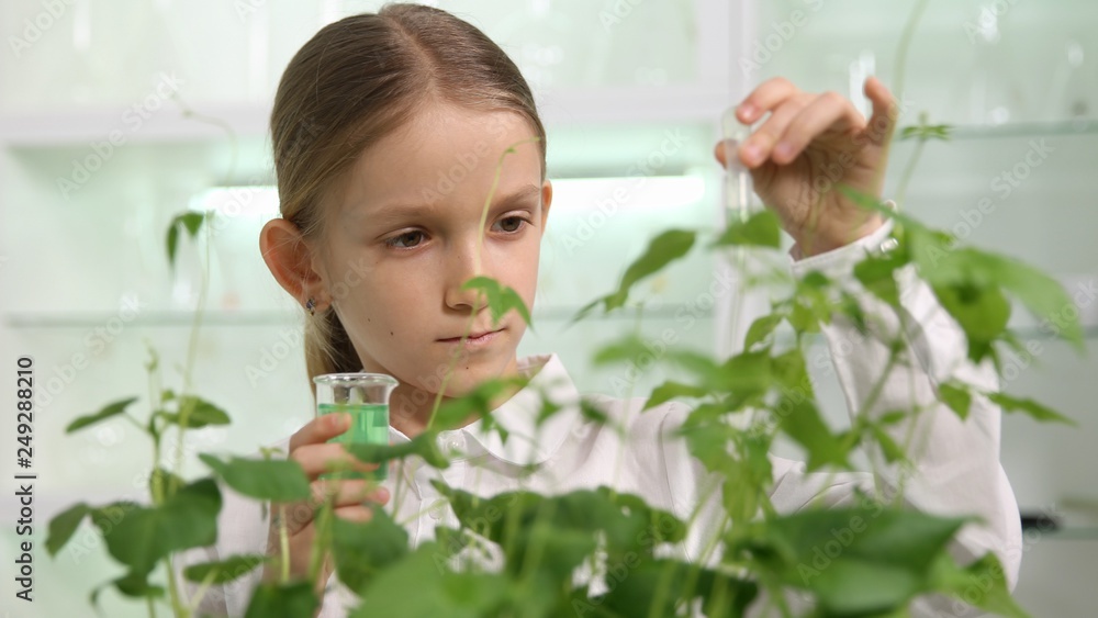 Child in Chemistry Lab, School Science Growing Seedling Plants Biology Class Child in Chemistry Lab, School Science Growing Seedling Plants Biology Class