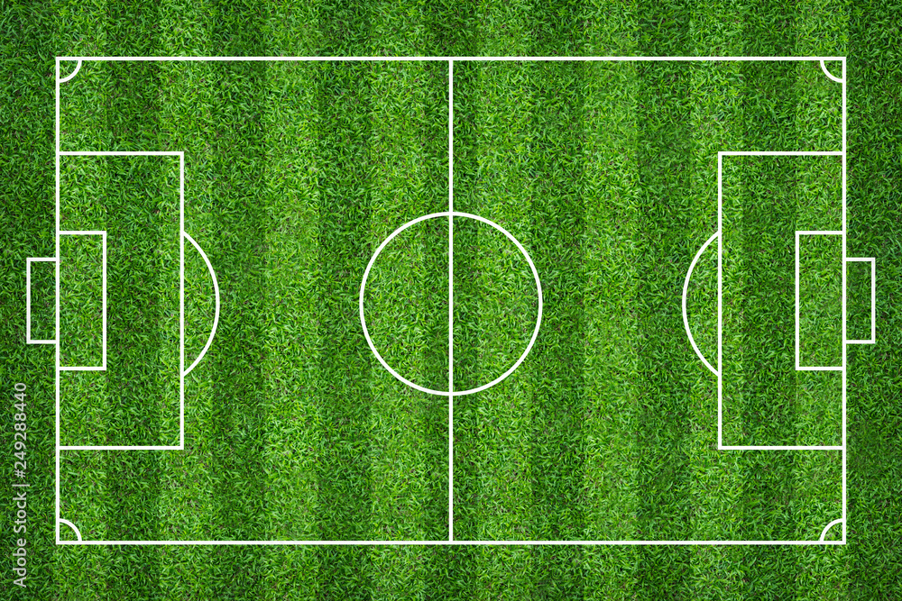 Football field or soccer field for background. Green lawn court for create game. Football field or soccer field for background. Green lawn court for create game.
