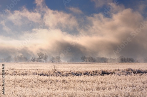 Winter landscape with spectacular heavy fog above bare trees along river bank behind field covered with frozen dry grass under blue sky during sunrise in Khakassia, Russia