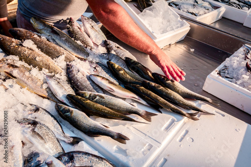 Salesman is preparing fresh fish on ice for selling at outdoor fish flea market