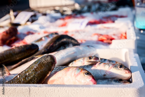 Canvas Print Fresh Flathead mullet fish on Ice at outdoor fish flea market