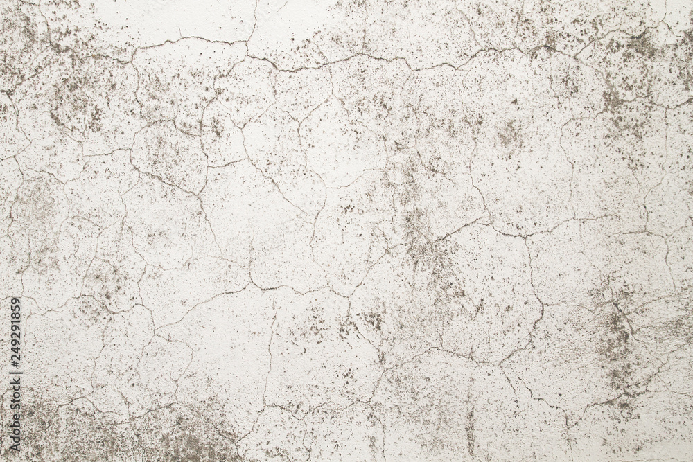 Fototapeta premium Old white wall background or texture