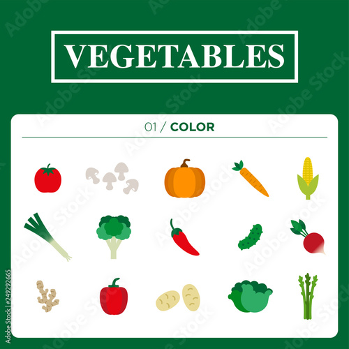 set of vegetables icons in colour