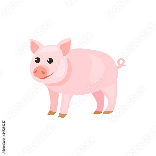 pig cartoon isolated