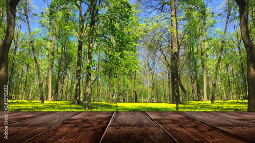 Spring background table. 