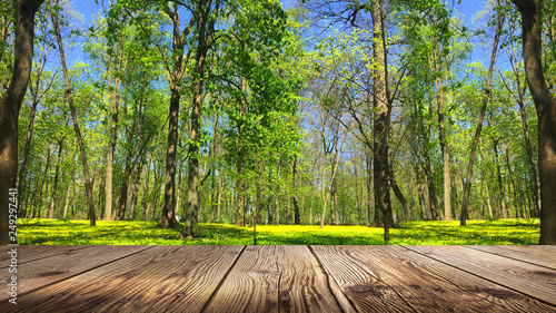 Spring background table.